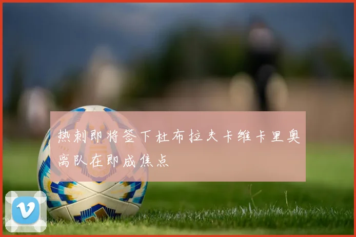 热刺即将签下杜布拉夫卡维卡里奥离队在即成焦点