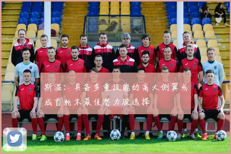斯温：具备多重技能的高大侧翼或成首轮末最佳潜力股选择